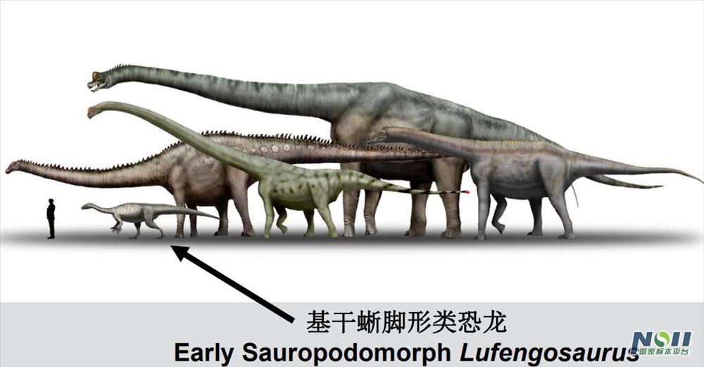 蜥脚形类恐龙体型大小对比示意图